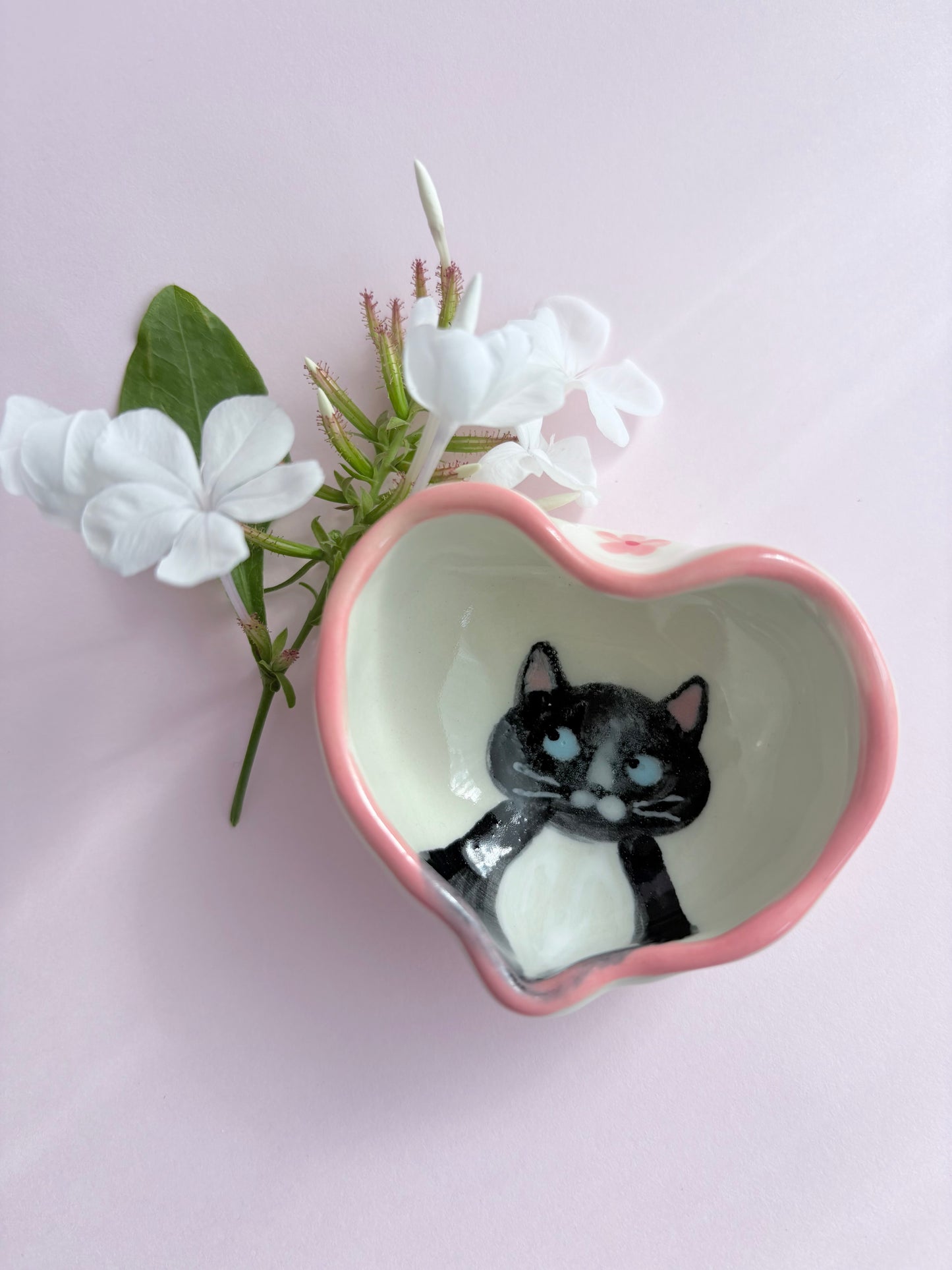 Purry 🐱 Ring Trinket
