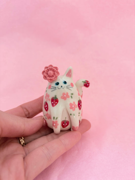 Biscuit 🐱