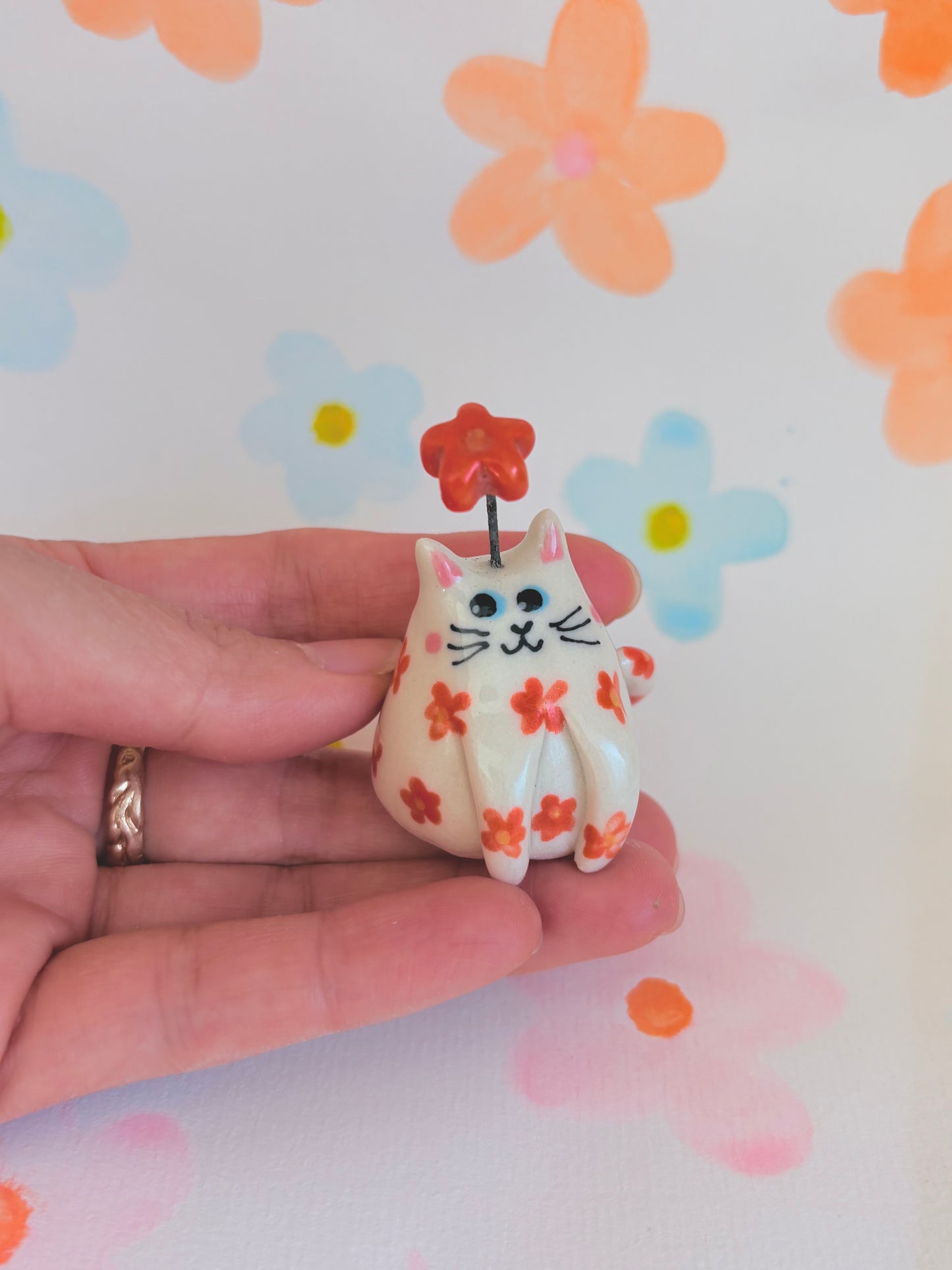 Tomato 🐱